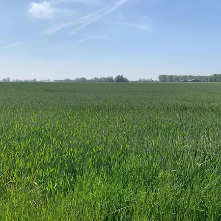 Apartment In Nieuwpoort Located Near The Sea Lägenhet Nieuwpoort